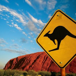 Australia-desert-ayers-rock-uluru-road-outback-kangaroo-sign-thestylelovers.com