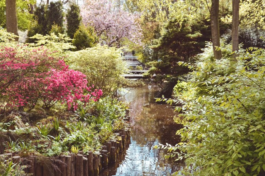 Fioritura dei tulipani in Olanda. Visit Keukenhof 04 - thestylelovers.com