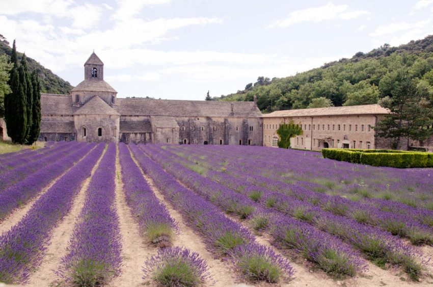 Itinerario della lavanda in Provenza - Abbazia di Senanque - thestylelovers.com