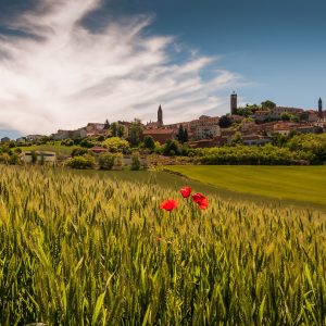Autunno é Langhe tartufi vino - thestylelovers.com