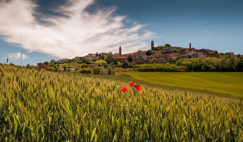 Autunno é Langhe tartufi vino - thestylelovers.com