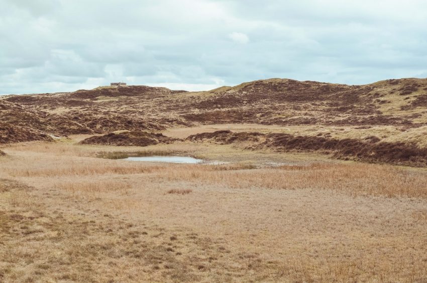Visitare Texel in Olanda - dune Texel - thestylelovers.com